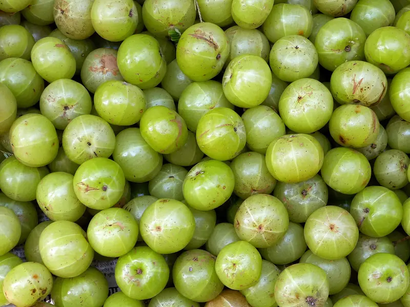 Fresh amla (Indian gooseberry) fruits