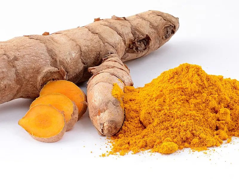 A fresh turmeric rhizome, cut slices and turmeric powder