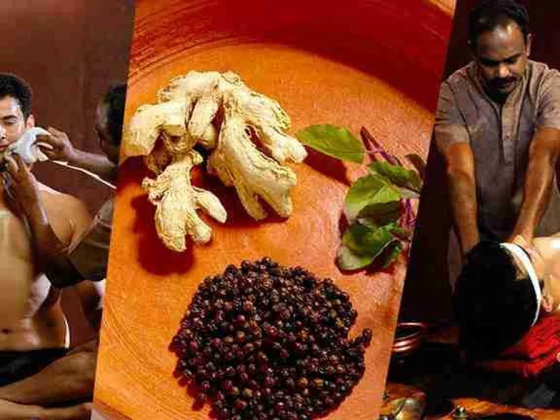 Ayurveda at AyurSoul Healthcare